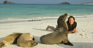 galápagos peru focas